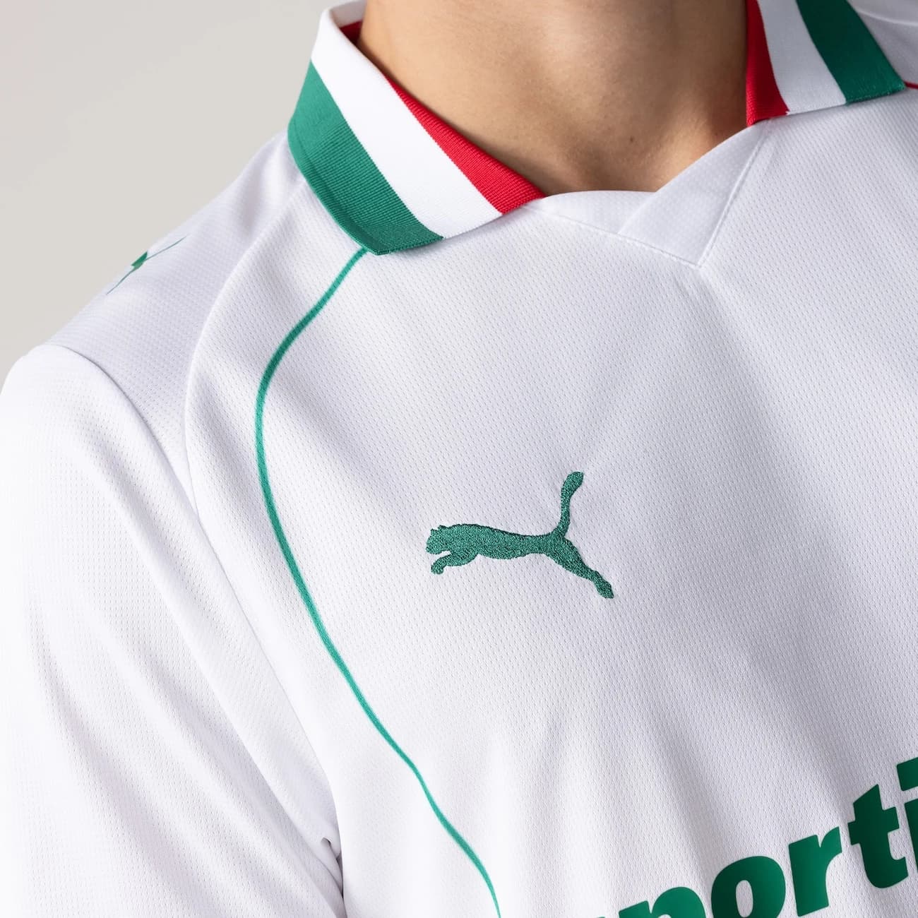 Camisa do Palmeiras II 2026 Torcedor Masculina