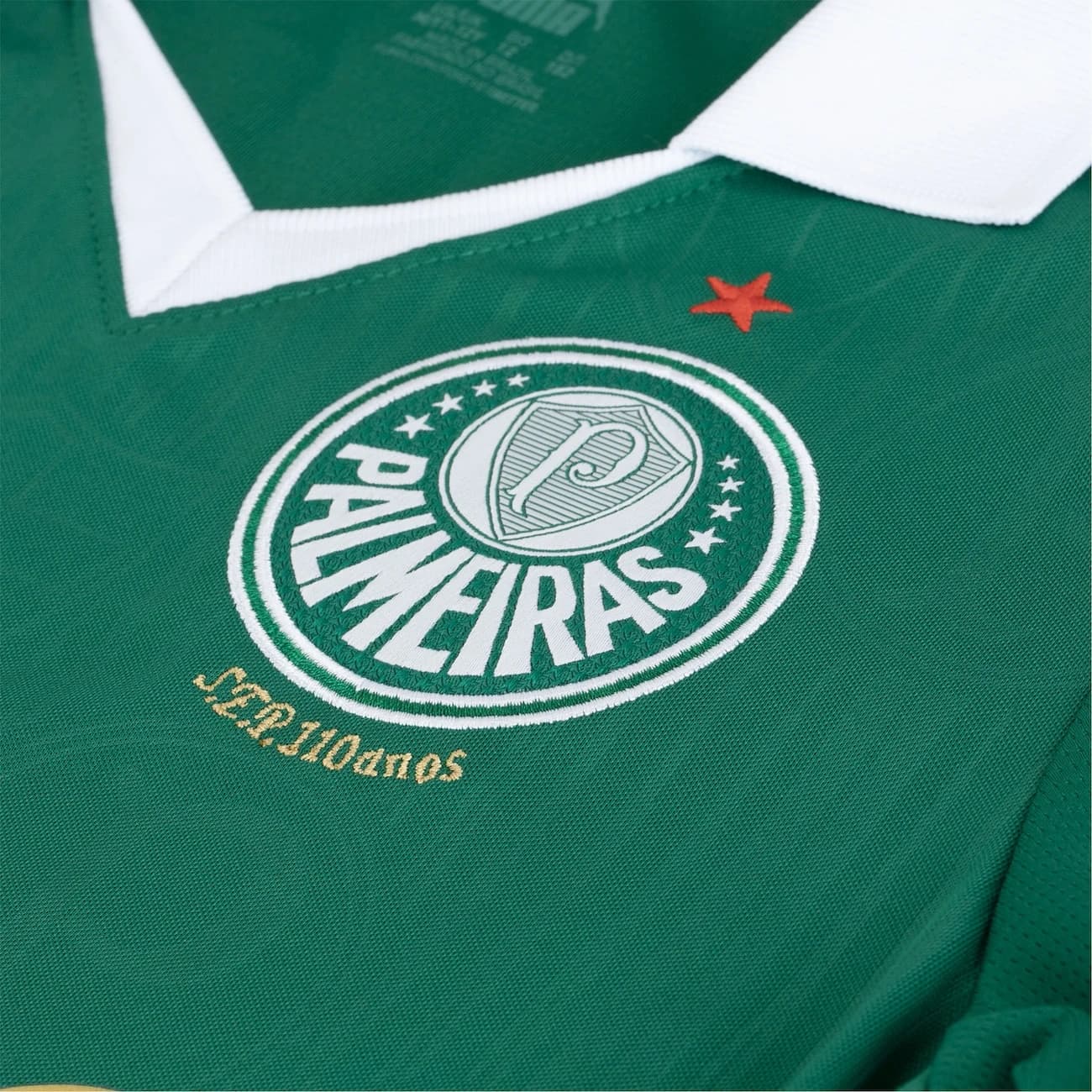Camisa do Palmeiras I 24 Puma Masculina Torcedor