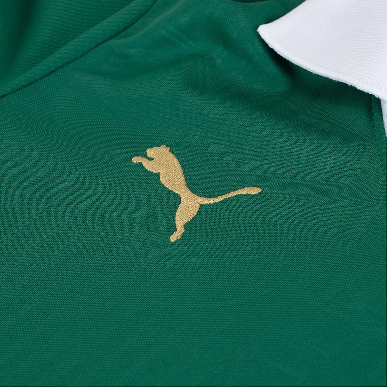 Camisa do Palmeiras I 24 Puma Masculina Torcedor