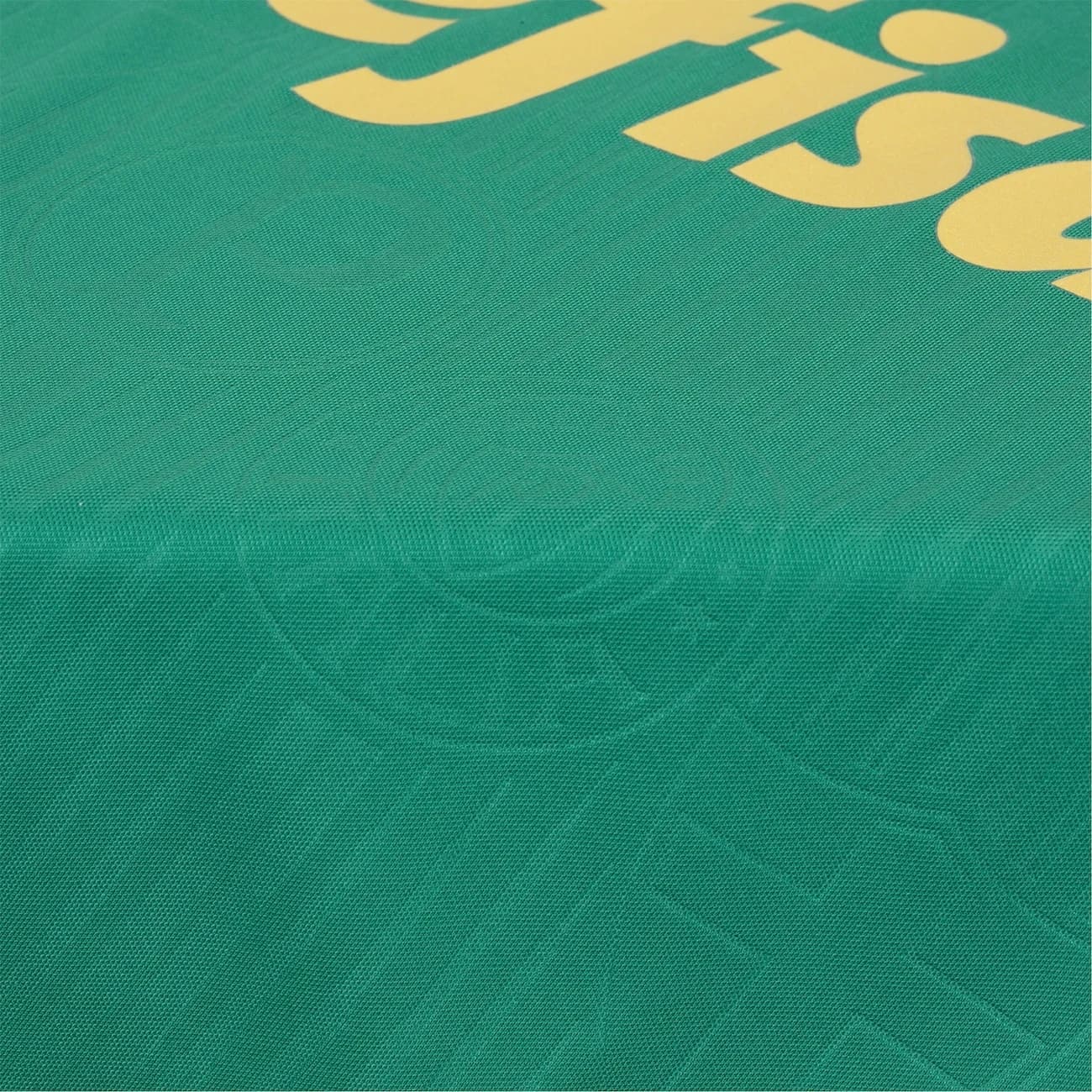 Camisa do Palmeiras I 24 Puma Masculina Torcedor