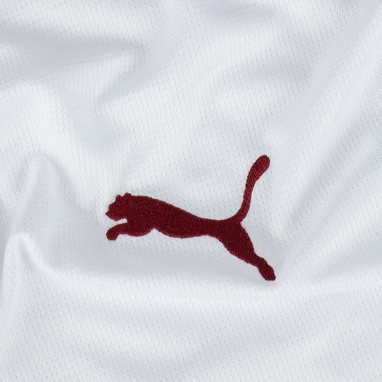 Camisa do Fluminense II 26/27 Torcedor Puma Masculina